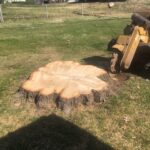 Stump Grinding Services with R&R Reliable Tree Service