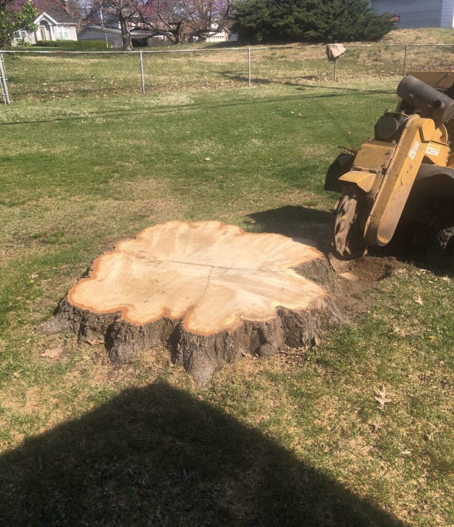 Stump Grinding Services with R&R Reliable Tree Service